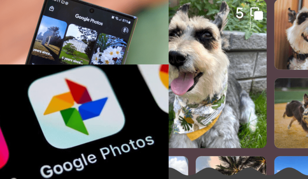 Google Photos Unleashes Photo Stacks Feature